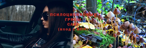 jwh Зерноград